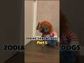 The zodiac signs as dogs (part 1) #zodiacsigns #dogs #astrology