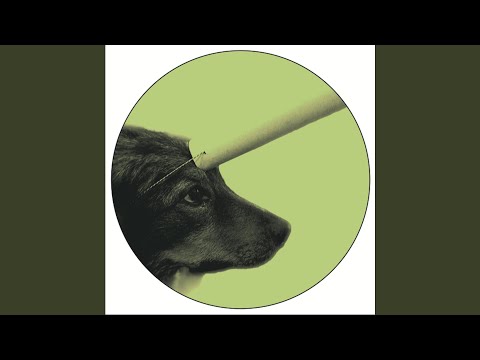 Dawn of the Shermionics