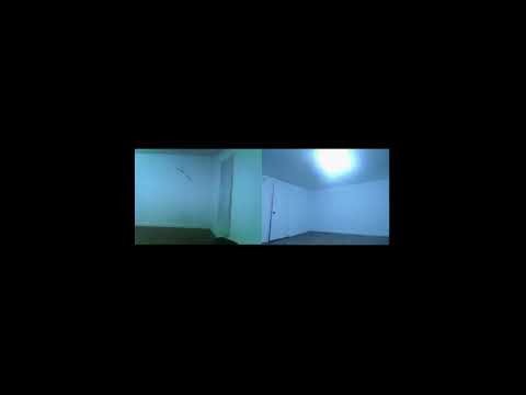 The Quarantine Concerts - Ulla Straus - April 23, 2020