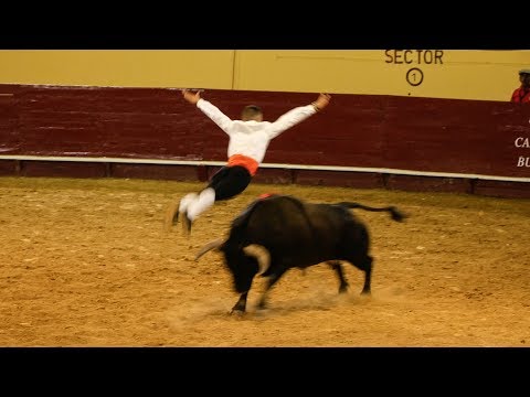Men jumping over a charging bull - Recortadores
