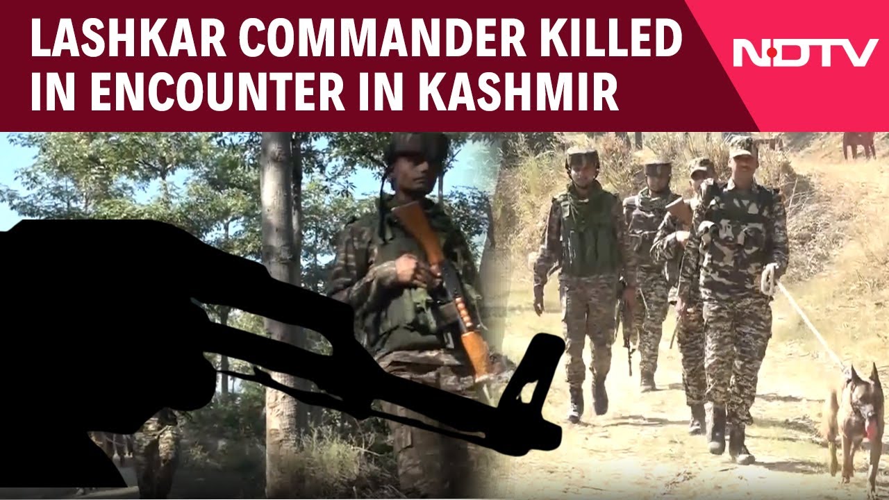 Jammu Kashmir News | Lashkar Commander Among 3 Terrorists Killed In Separate Encounters In J&K