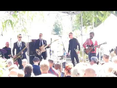 Museumpark New Cool Collective