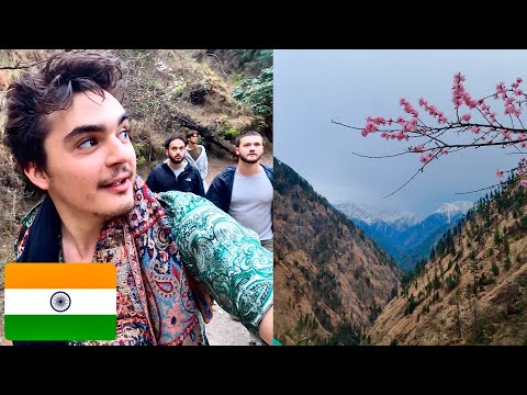 Village Life in the Indian Himalayas: Rasol Trek 🇮🇳