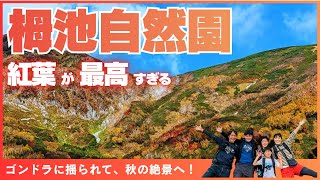 [Nagano, Tsugaike Nature Park] An impressive hike in a famous autumn foliage spot! A spectacular ...