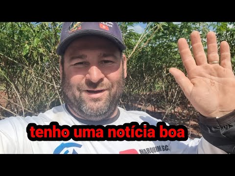 Achei oque eu queria em campo limpo de Goiás 