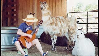 How Deep Can We Go in Communicating with Animals?