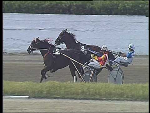 Trotto 04/06/2016 - 6° corsa