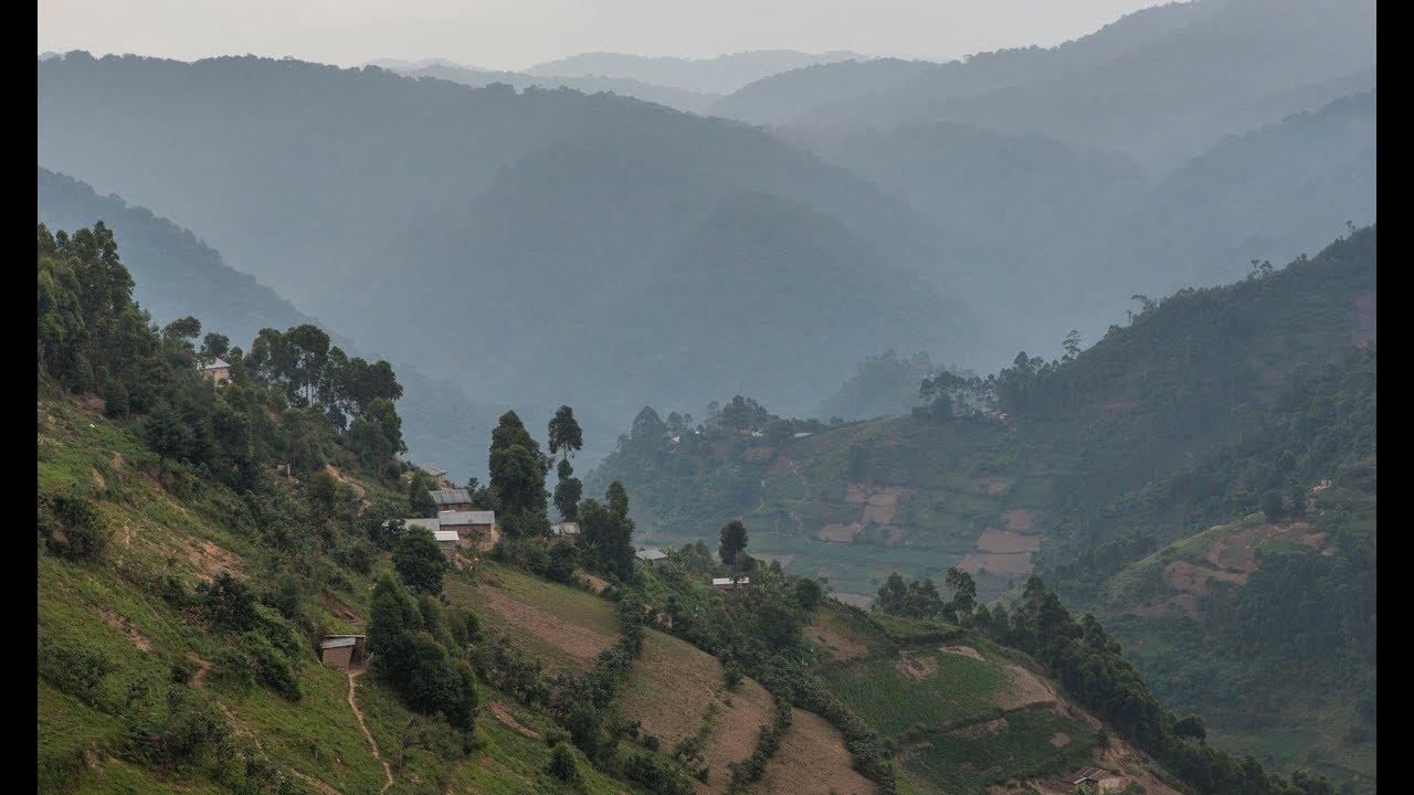 Gorilla Safari Lodge-Rushaga