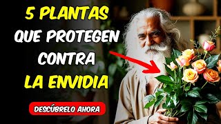 5 PLANTAS que los Budistas Usan para Mantener la Envidia Alejada y Vivir en Paz