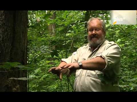 Bilderbuch (ARD) - Untere Werra (2007)