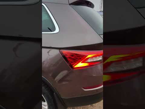 фото skoda kodiaq  0