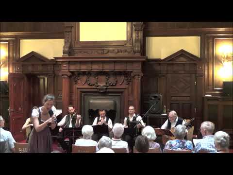 Wienerlied - "I marschier mit mein Duli-Dulieh" (Glasscherben-Schrammeln)