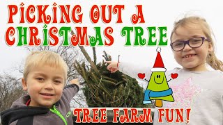 Picking Out a Christmas Tree! | Crazy8Family