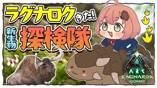 配信開始 - ꒰ ASA:RAGNAROK ꒱ ラグナロクきたー❤ 新生物見たい👀まったり探検隊✊ ˹ 本間ひまわり にじさんじ ˼
