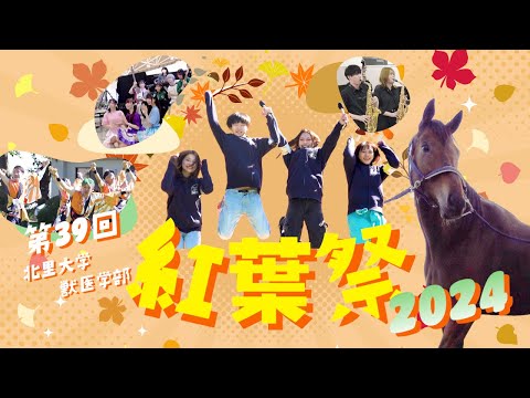 海洋生命科学科 北里大学獣医学部 第39回 紅葉祭2024