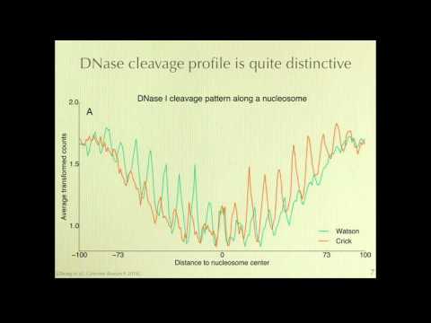 Mapping Nucleosome Positions Using DNase