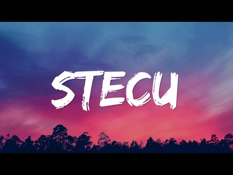 Faris Adam - Stecu (Lyrics)