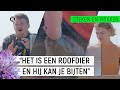 MEGA PALING GRIJPT VINGER!! | Steken en Prikken S2 #6 | NPO Zapp