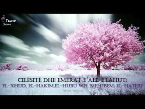 Cilësitë dhe Emrat e All-llahut [El-Xhud, El-Hakim,El-Hubu wel Mehebe,El-Hathu] - Lulzim Perçuku