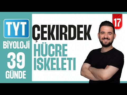 Çekirdek Hücre İskeleti Konu Anlatımı | 39 GÜNDE AYRINTILI TYT BİYOLOJİ KAMPI 2026-27 | 17