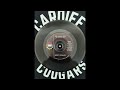 Bobby Womack - It's Gonna Rain