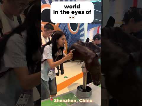How does the world look like in animals’ eyes? | 📍Shenzhen, China