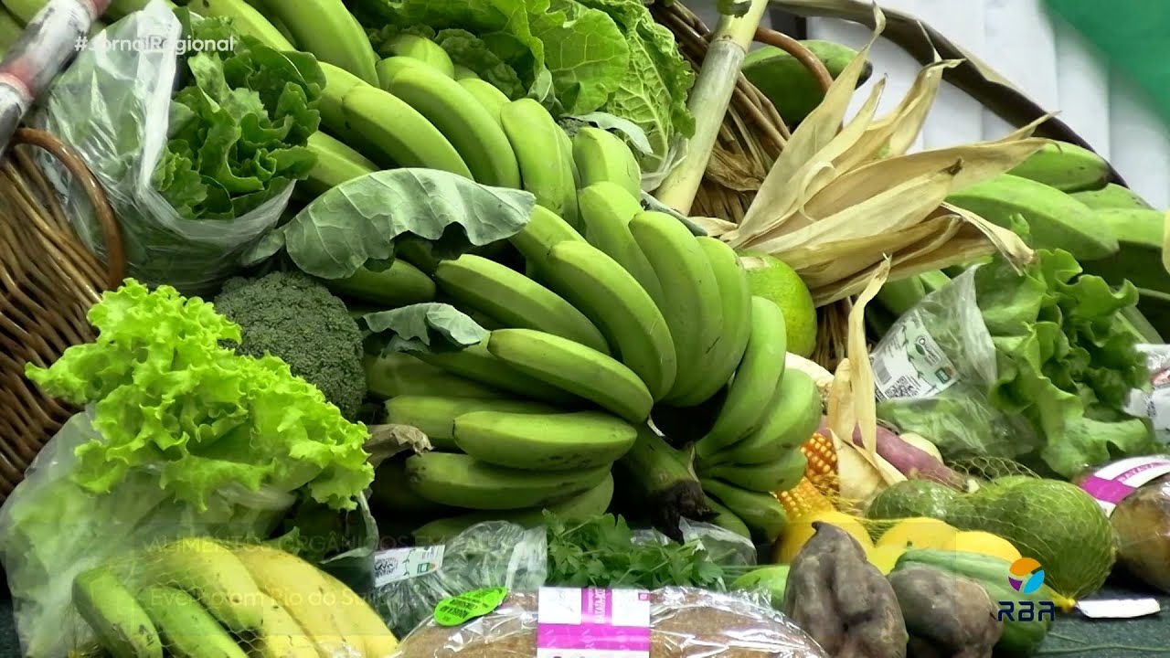 Alimentos orgânicos em pauta: evento em Rio do Sul traz novidades para produtores