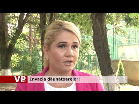Invazia dăunătoarelor!