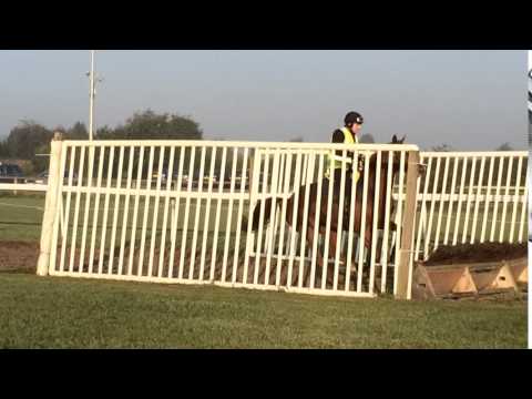 WATER FOR LIFE jumping her first hurdle 01/10/15