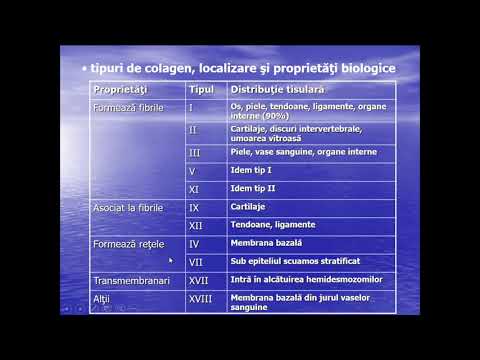 dacă articulațiile din genunchi se crispă 3 recenzii de tratament de coxartroză
