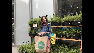 WHOLE FOODS HAUL
