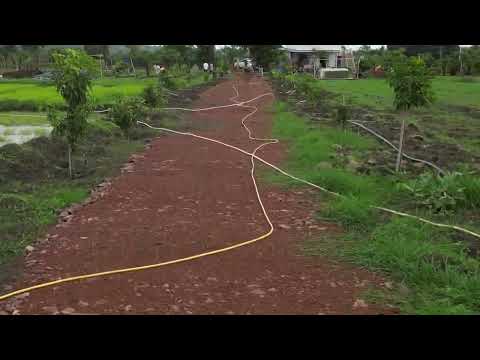 Mango Avenue Project Amoni Project for Recroots