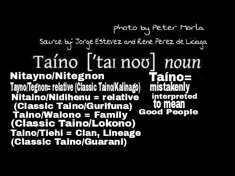 Addressing Pedro Guanikeyu on the Taino Language