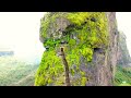 Harihar गढ Nashik Short Video Status DJ