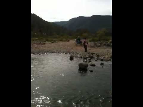 PIPIOLOS EN EL RIO 001