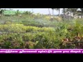 KANCHI GREEN GARDEN