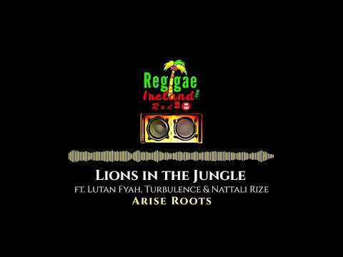 Arise Roots: Lions in the Jungle ft. Lutan Fyah, Turbulence & Nattali Rize