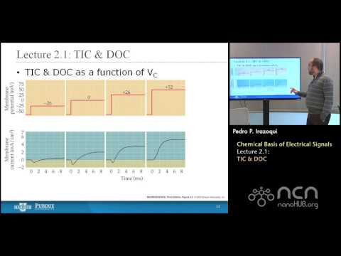 nanoHUB-U Bioelectricity L2.1: Chemical Basis - TIC & DOC