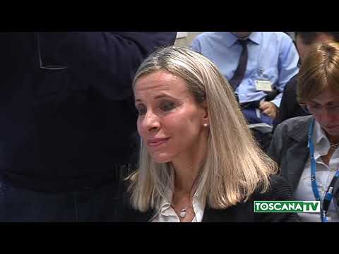 2019-02-15 FIRENZE - AEROPORTO, DOPO SÌ A MASTERPLAN, LA DOCCIA FREDDA