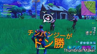 【フォートナイト実況】世界初チンパンジーがドン勝　神プレイ連発の男