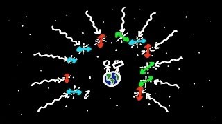 A Polarizing Discovery About the Big Bang!