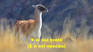 Download lagu EL CÓNDOR PASA letra e vídeo com PLÁCIDO DOMINGO, vídeo MOACIR SILVEIRA mp3