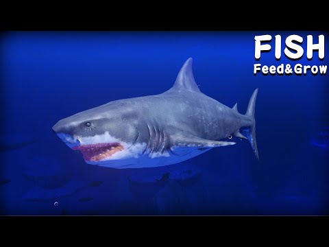大魚吃小魚，能夠體驗頂尖獵食者鯊魚的神遊戲『Feed&Grow FISH』 - YouTube