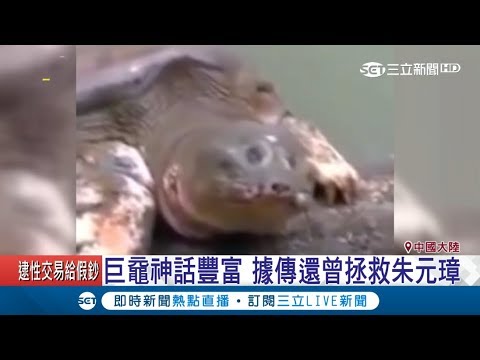 鱉帶財