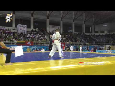 WKO EC 2016, 1 round  +85 Fredrik Johansson (Sweden, aka) - Jean-paul Jacquot (France)