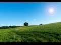 Как сделать солнечные блики в Фотошопе 