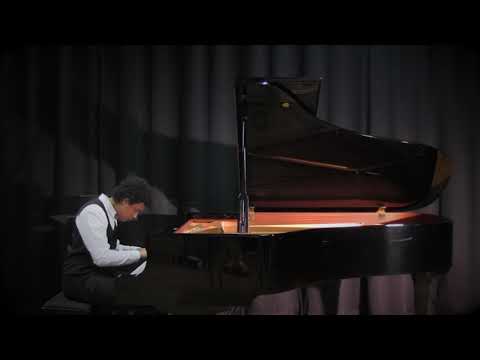 Manu - Beethoven & Chopin