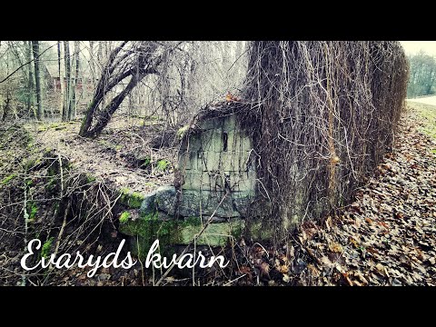 EVARYDS KVARN och GÅRD - ruiner vid BRÄKNEÅN i BRÄKNE-HOBY - 210313 - Ronneby - Huawei p30 PRO