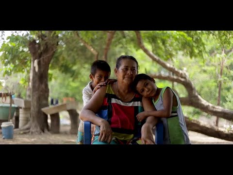 COVID-19: Schools of the Chiapas coast.