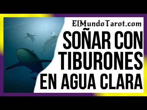 Soñar con Tiburones en Agua Clara 🦈【SIGNIFICADOS】